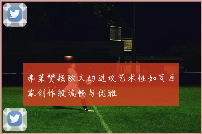 弗莱赞扬欧文的进攻艺术性如同画家创作般流畅与优雅